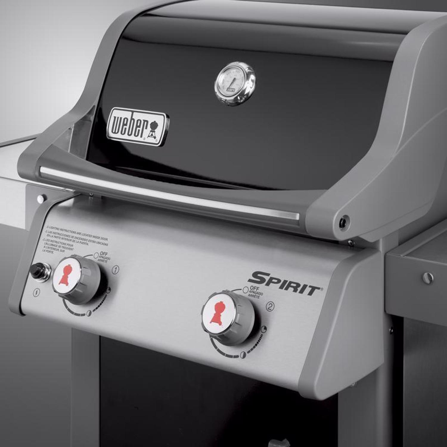 2 Burner Liquid Propane Grill Black