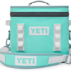 12 Portable Soft Cooler