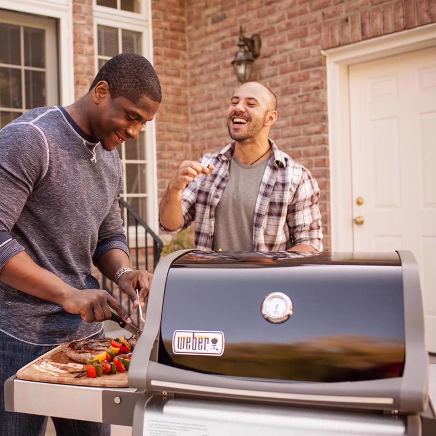 2 Burner Liquid Propane Grill Black